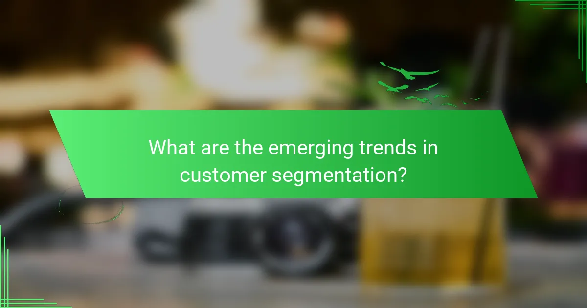 What are the emerging trends in customer segmentation?