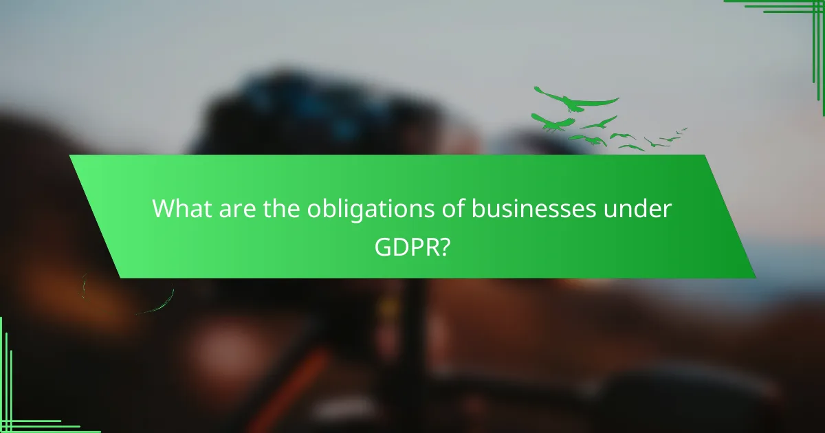 What are the obligations of businesses under GDPR?