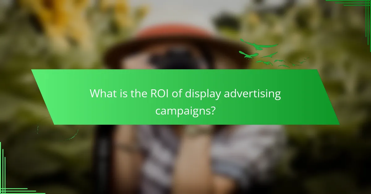 What is the ROI of display advertising campaigns?
